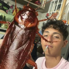 il principino delle blatte🪳 / prod non me lo ricordo / aka blatta freestyle / aka blatta prod