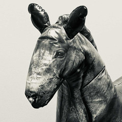 Ricardo