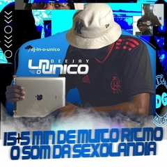 15 + 5 MINUTINHOS DE MUITO RITMO VS O SOM DA SEXOLANDIA - DJ LN O ÚNICO - VICIA AII KKKK