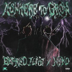 MVKO x BERRIED ALIVE - NOWHERE TO GROW
