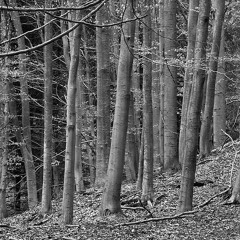 Fantaisie pandémique