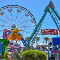 Best Unique Things To Do In Houston Texas Tours Reviews