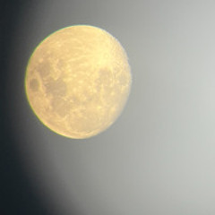 La quiero a morir - Francis Cabrel