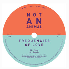 PREMIERE: Frequencies of Love - Pegasus