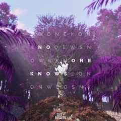 Keiden & Aditii - No One Knows (feat. Faithroze)