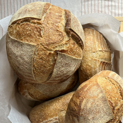 Collective, all night with Yarden.