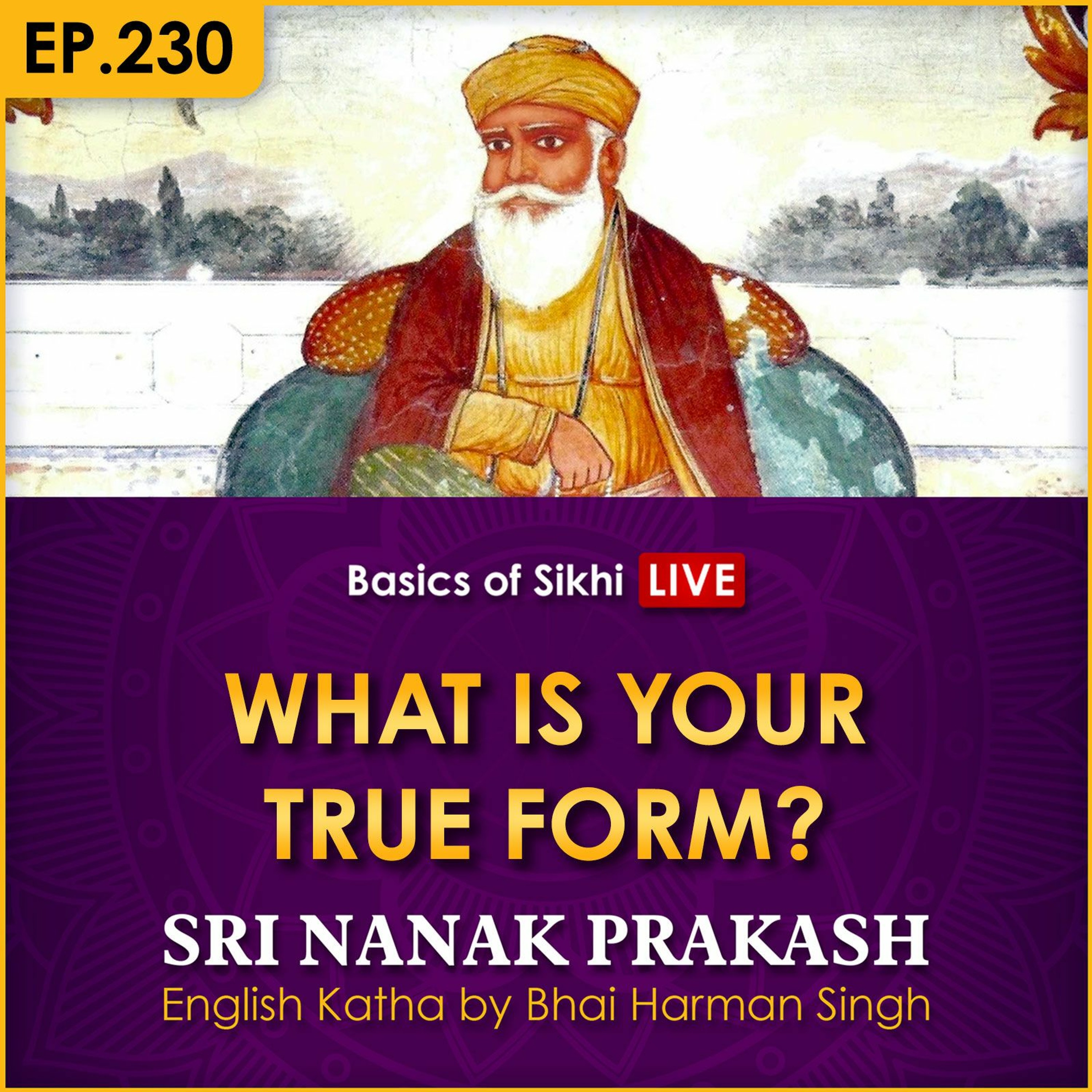 #230 What is Your True Form? | Sri Nanak Prakash Katha | Bhai Harman Singh episode artwork