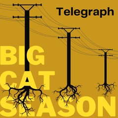 Telegraph