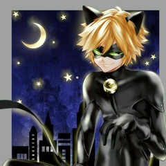 I'm Chat Noir! Miraculous: Tales of Ladybug & Cat Noir | By Lenni Kim