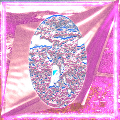 TAŠ (holy other [recall])