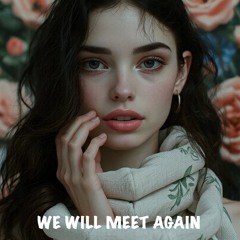 We Will Meet Again