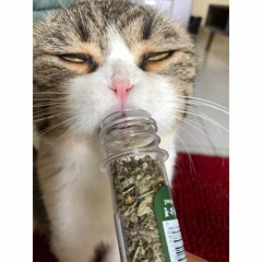 Nhạc Nước Ngọc Bảo Viên - Tuấn Bồ Mix