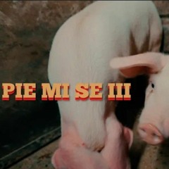 Marso x Bobkata x Tsvetina - Pie mi se III