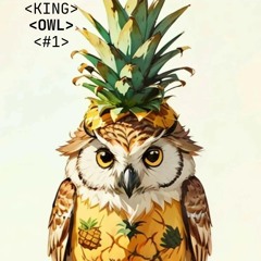 King Owl (tech house version)