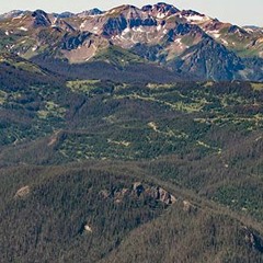 Spruce Beetle And Western Spruce Budworm Most Damaging Rocky Mountain Pests