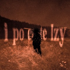 ZALEPIŁEM IM IGLO
