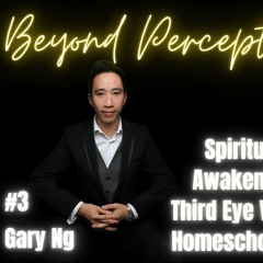 Seeing & reading with closed eyes: Third Eye Vision | Gary Ng (#3)