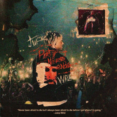 Juice WRLD – Animal ft. Chris Brown & Joyner Lucas (0:30)