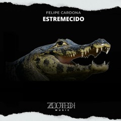 Estremecido - Felipe Cardona (original Mix)
