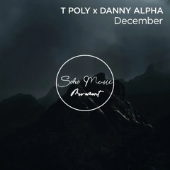 Danny Alpha, T Poly - December (Original Mix)
