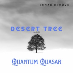 Quantum Quasar