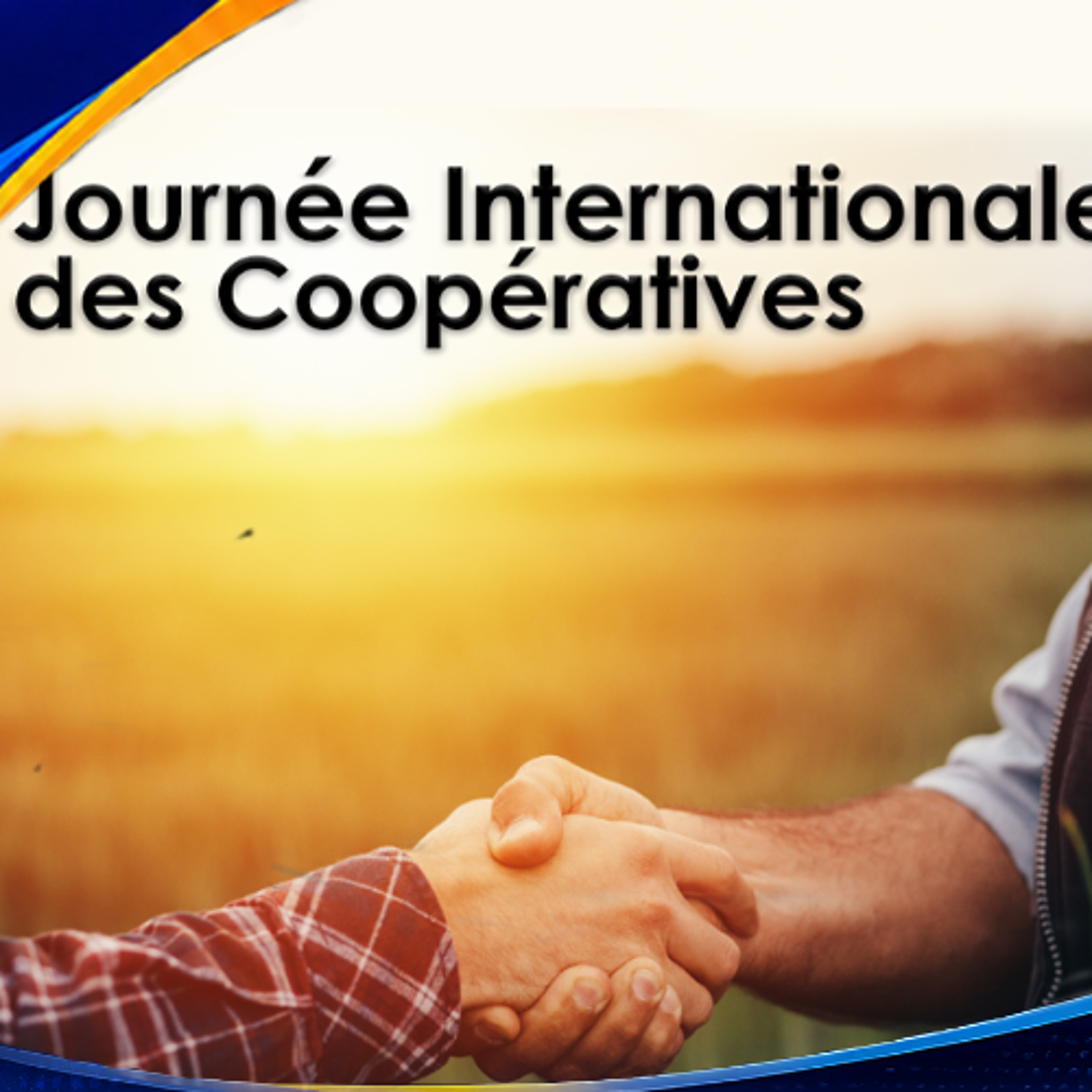 Journée internationale des coopératives : Mukesh Biranjia appelle à une modernisation urgente du secteur