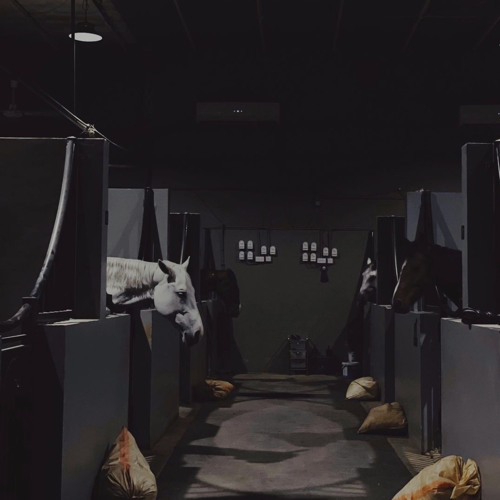 ‎⁨عاني لروما-راشد-ميحد⁩