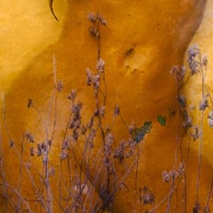 Hecate Summon (Prod. GMRY)