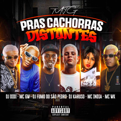 MTG PRAS CACHORRAS DISTANTES - DJ KARUSO DJ DIDI DJ FUMO DO SÃO PEDRO - MC ÍNDIA MC GW MC WK