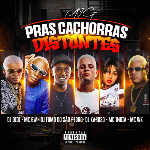 MTG PRAS CACHORRAS DISTANTES - DJ KARUSO DJ DIDI DJ FUMO DO SÃO PEDRO - MC ÍNDIA MC GW MC WK