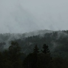 Manu Shrine - Dismissal