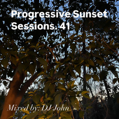 Progressive Sunset Sessions 41