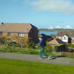 DISCOMBOBULATE (VERB)