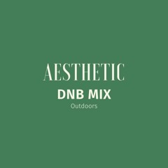 Aesthetic DNB - Outdoors mix