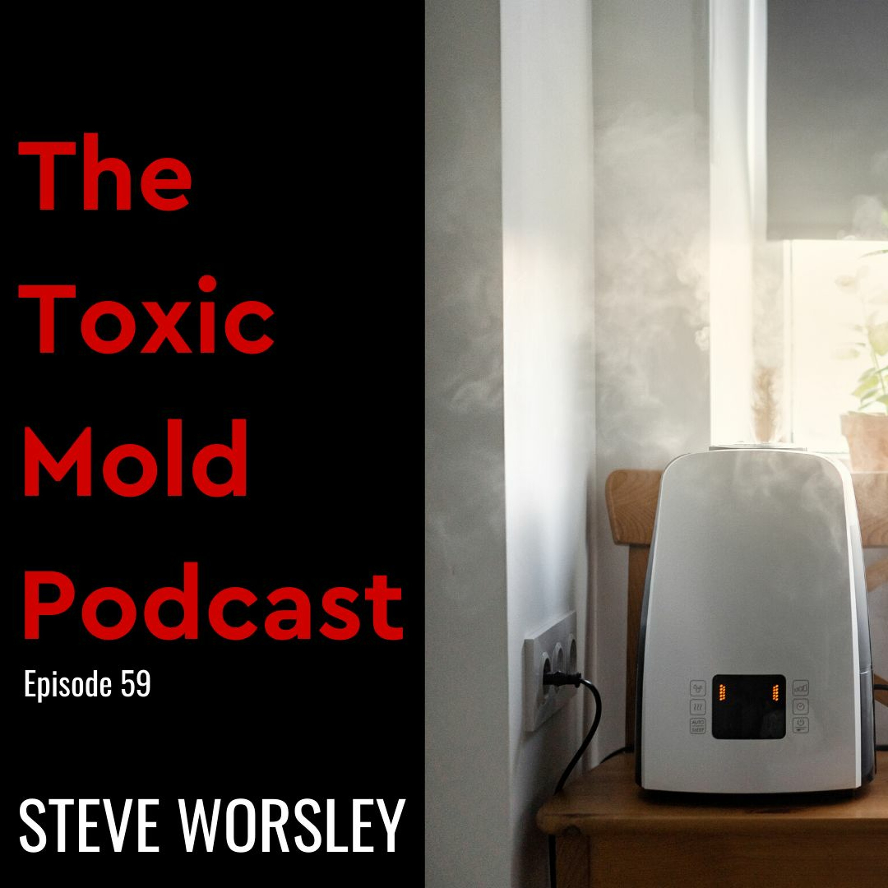 The Toxic Mold Podcast