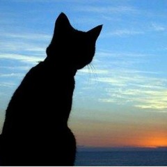 ROXETTE - JOYRIDE - VINYL RECORDING