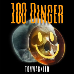 TonWackler - 100 Dinger [170er]