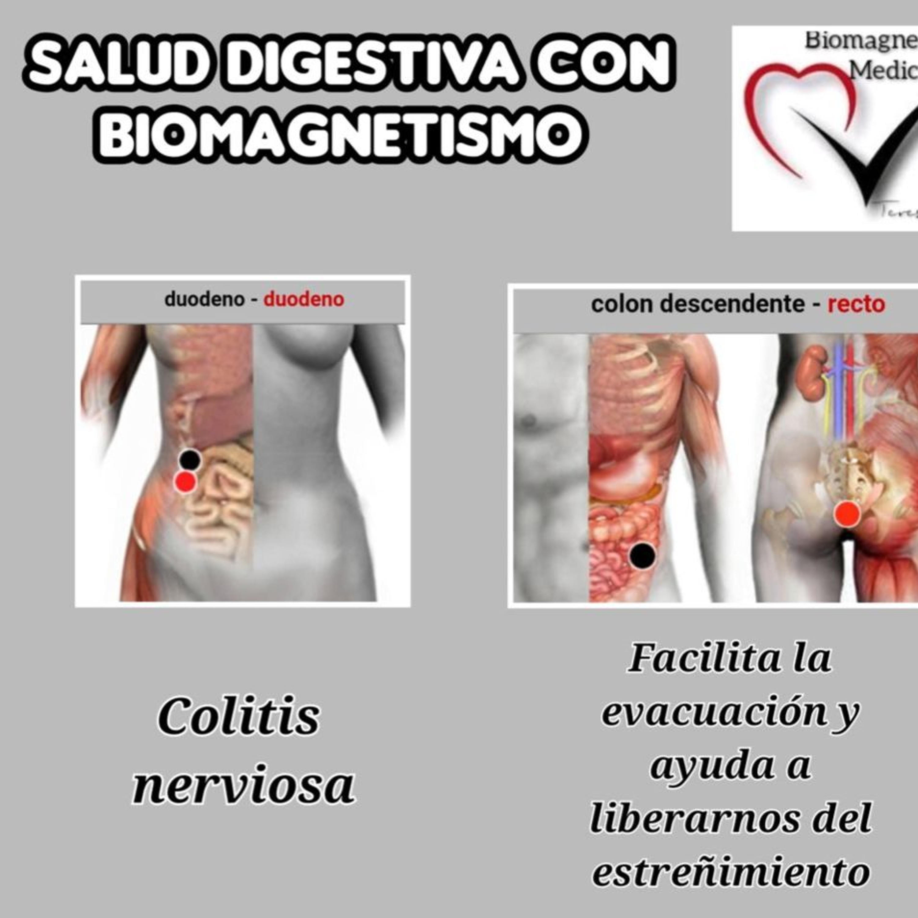 TereBIOMAGNETISMO, Mejora tu salud intestinal con Magnetos episode artwork