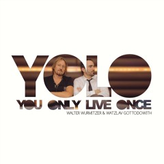 Yolo ((Radio Edit))