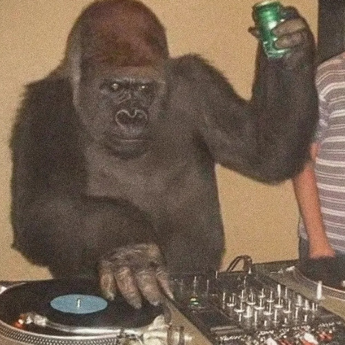 CXPOPAPI – 24 Minutes of Groove [Live from My Bedroom]