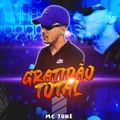 GRATIDÃO TOTAL (DJ Wallace NK)