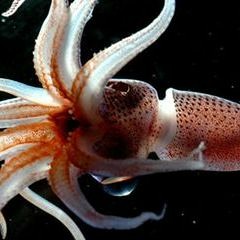 Something to think about