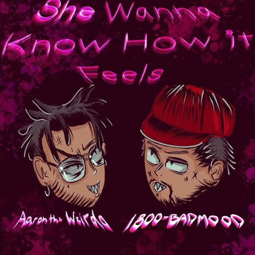 1-800 BadMood x Aaron the Weirdo - She Wanna Know How it Feels (prod. by Zaycros)