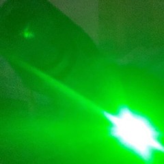 vlilzen - 23 (zaeskii)