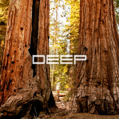 DEEP XXXIV [M83, Kölsch, Dyzen, Helsloot, Estiva and more]