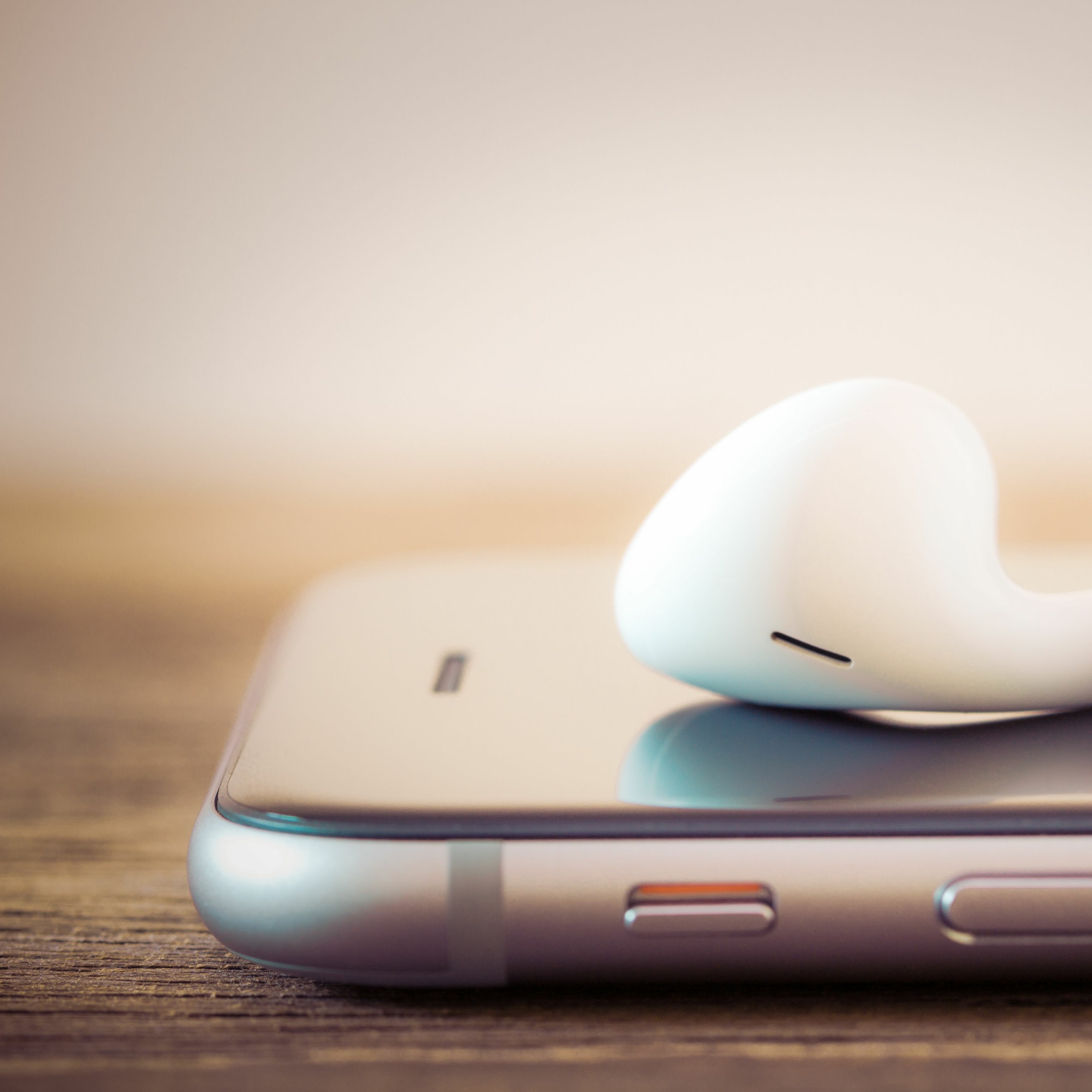 The Savvy Student Podcast