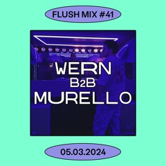 Flush Mix #41 |  WERN B2B MURELLO