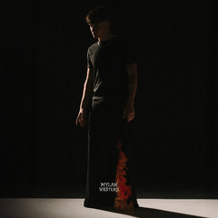 010. Mylan Westers - KICK DOWN