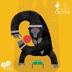 Emission #26 | RADIO CACTUS 92.2fm | PPG du 16-05-25