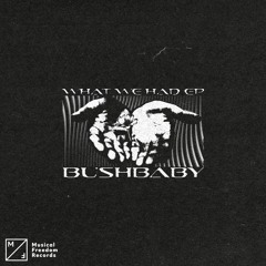 Bushbaby - What We Had
